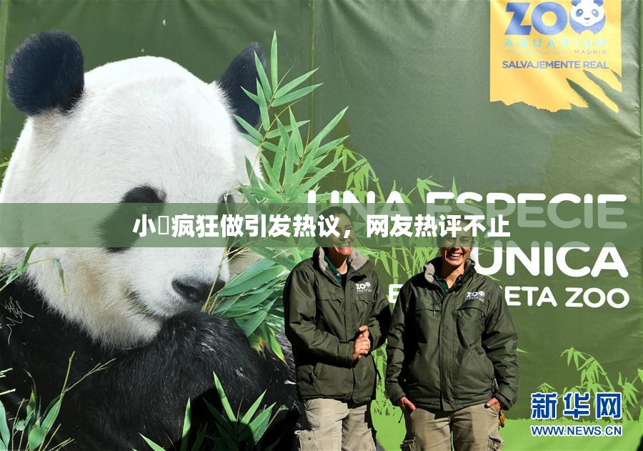 小泬疯狂做引发热议，网友热评不止