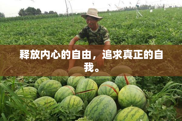 释放内心的自由，追求真正的自我。