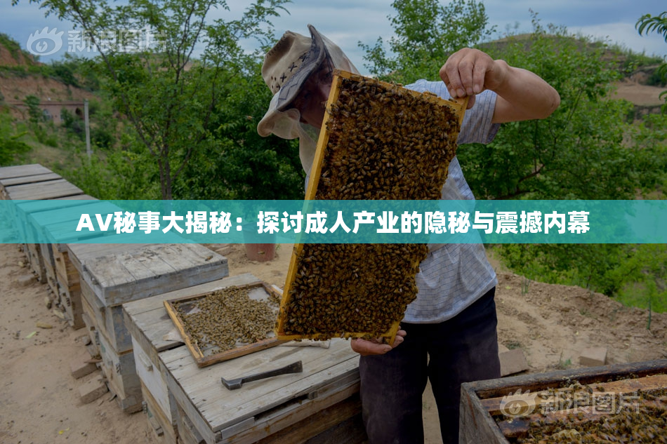 AV秘事大揭秘：探讨成人产业的隐秘与震撼内幕