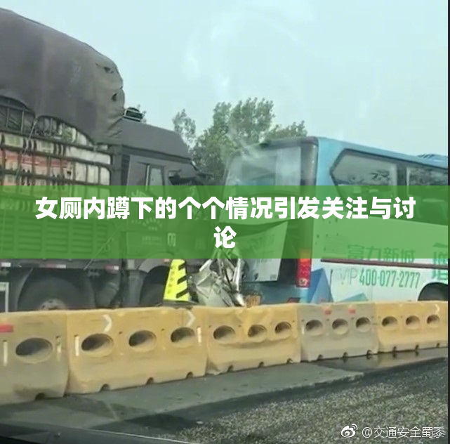 女厕内蹲下的个个情况引发关注与讨论