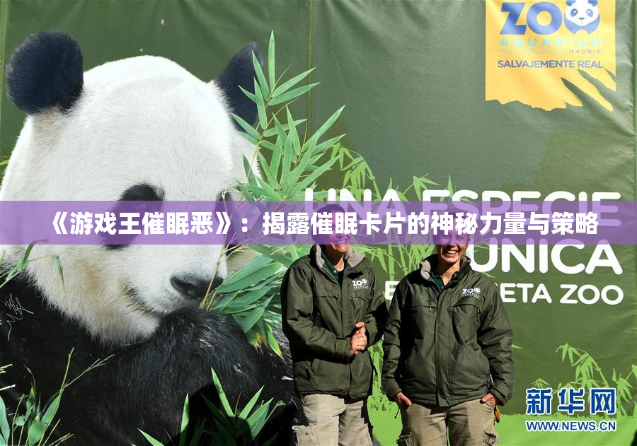 《游戏王催眠恶》：揭露催眠卡片的神秘力量与策略