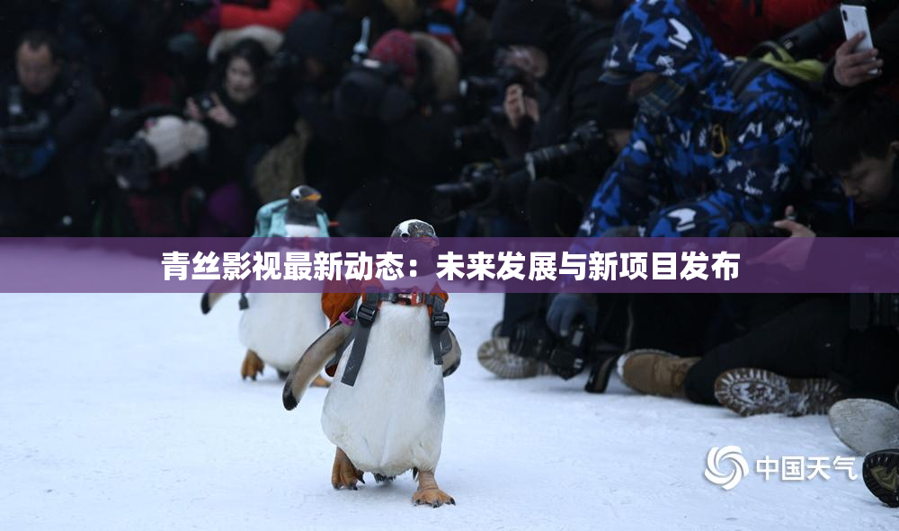 青丝影视最新动态：未来发展与新项目发布