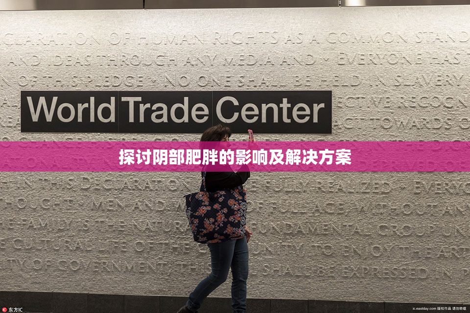 探讨阴部肥胖的影响及解决方案