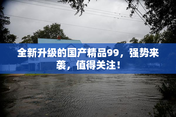 全新升级的国产精品99，强势来袭，值得关注！