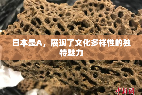 日本是A，展现了文化多样性的独特魅力