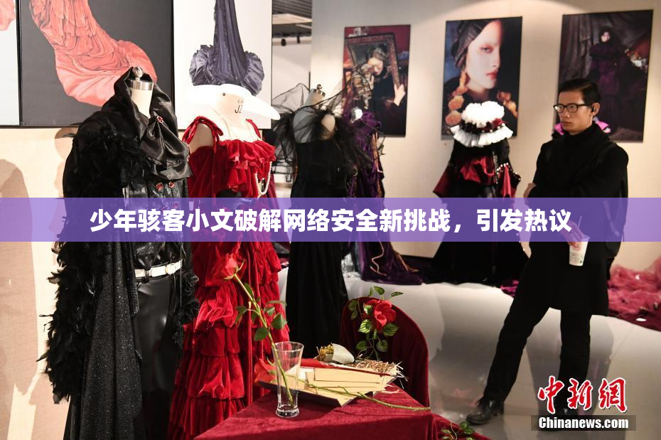 少年骇客小文破解网络安全新挑战，引发热议