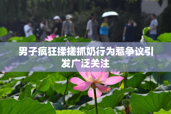 男子疯狂揉搓抓奶行为惹争议引发广泛关注