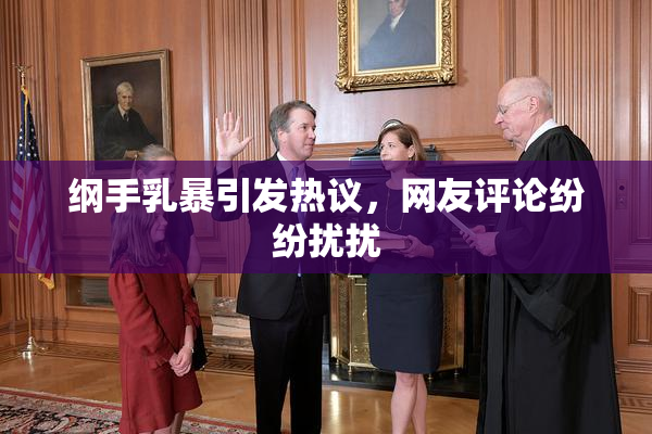 纲手乳暴引发热议，网友评论纷纷扰扰