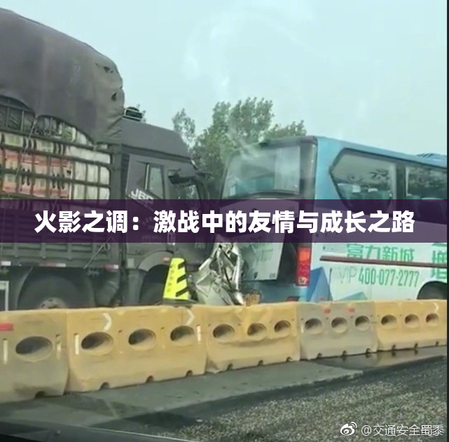 火影之调：激战中的友情与成长之路