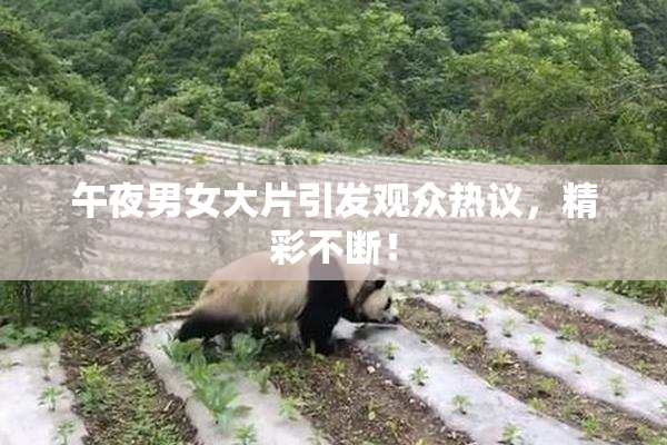 午夜男女大片引发观众热议，精彩不断！