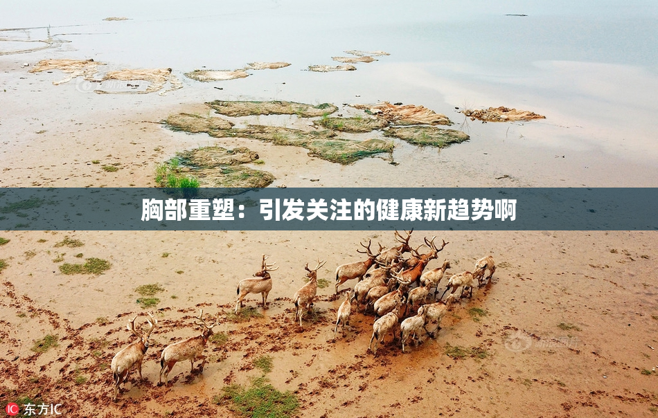 胸部重塑：引发关注的健康新趋势啊
