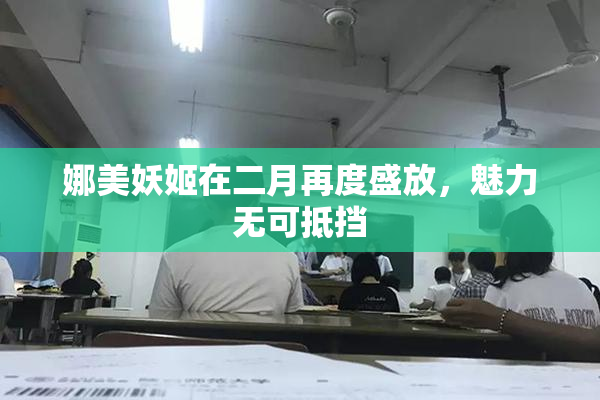 娜美妖姬在二月再度盛放，魅力无可抵挡
