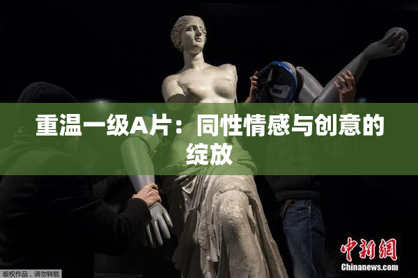 重温一级A片：同性情感与创意的绽放