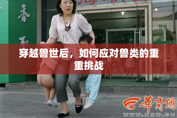 穿越兽世后，如何应对兽类的重重挑战