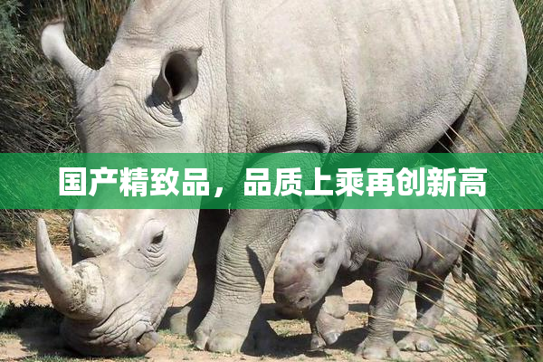 国产精致品，品质上乘再创新高