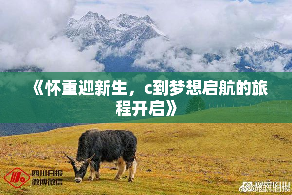 《怀重迎新生，c到梦想启航的旅程开启》