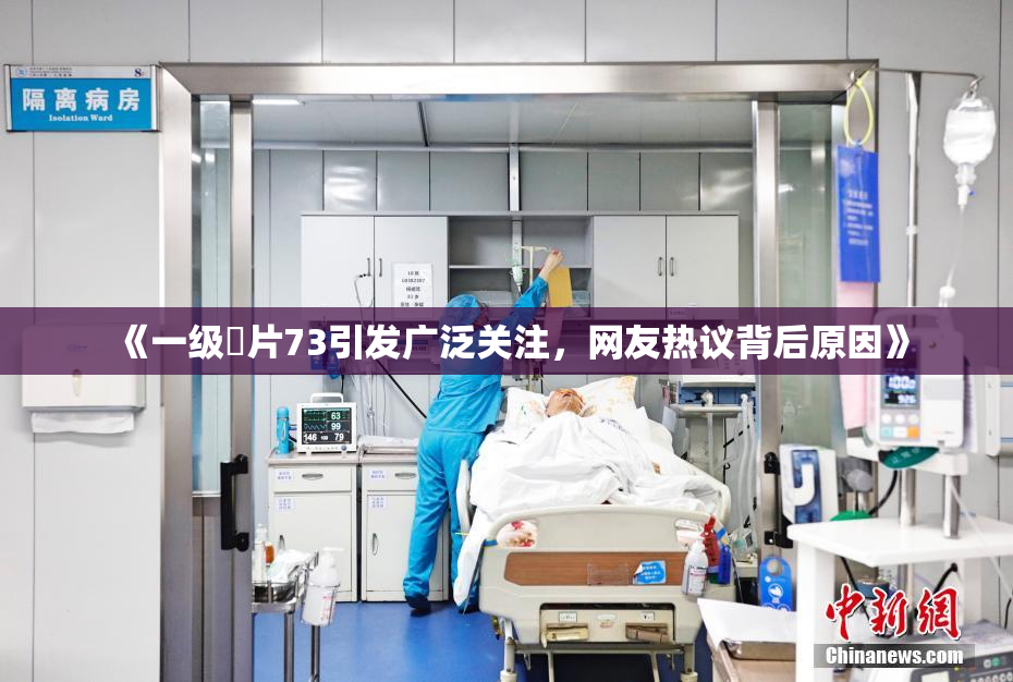 《一级婬片73引发广泛关注，网友热议背后原因》