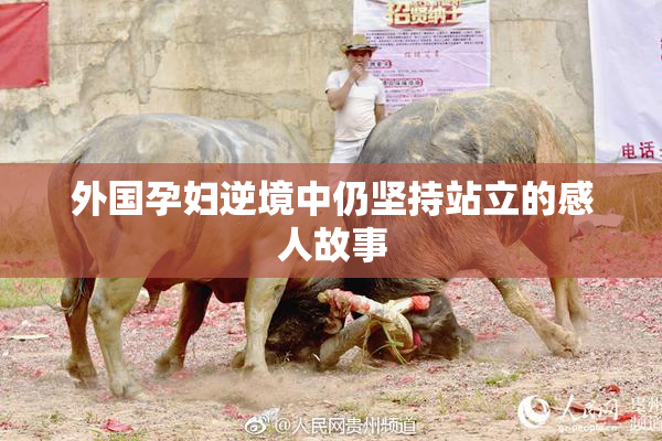 外国孕妇逆境中仍坚持站立的感人故事