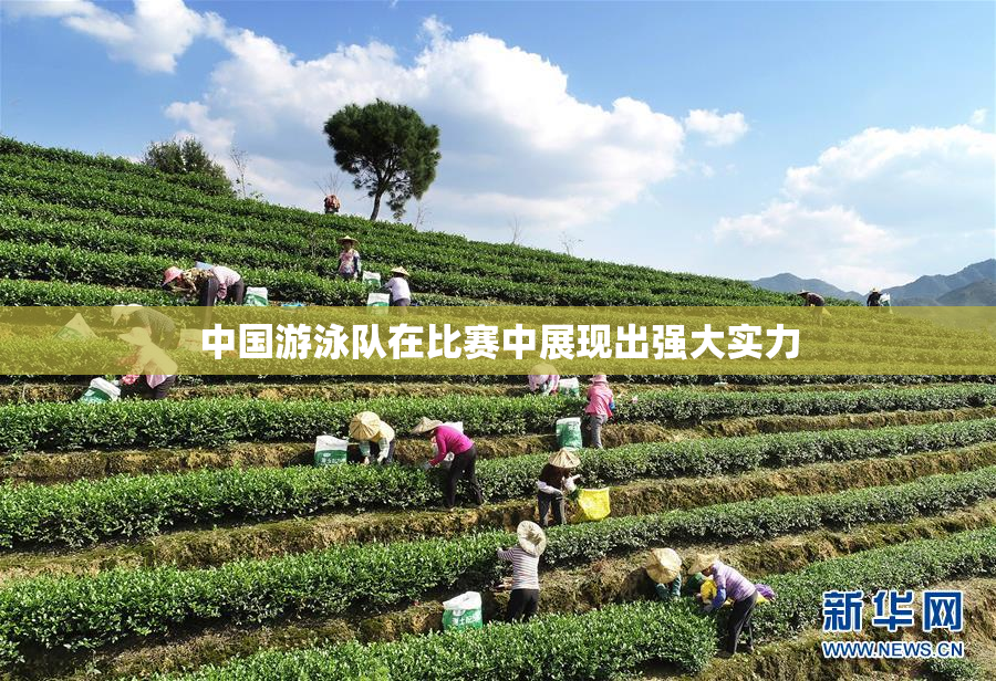中国游泳队在比赛中展现出强大实力