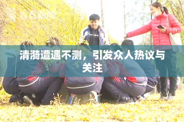 清漪遭遇不测，引发众人热议与关注