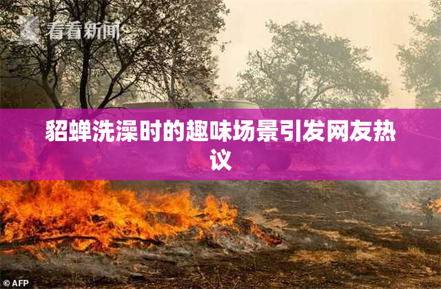 貂蝉洗澡时的趣味场景引发网友热议