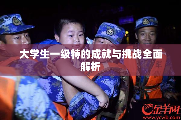 大学生一级特的成就与挑战全面解析