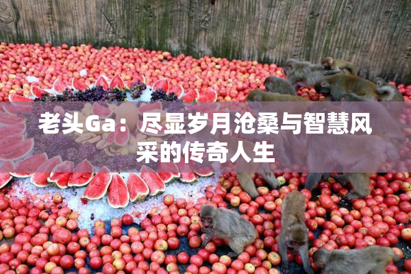 老头Ga：尽显岁月沧桑与智慧风采的传奇人生