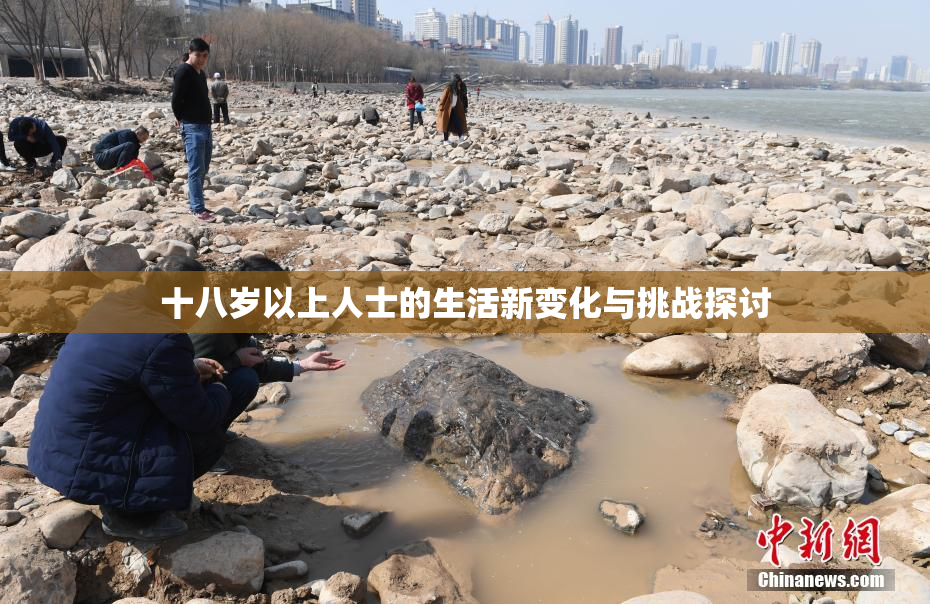 十八岁以上人士的生活新变化与挑战探讨