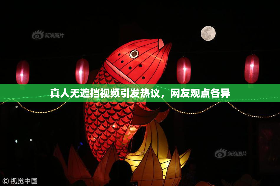 真人无遮挡视频引发热议，网友观点各异