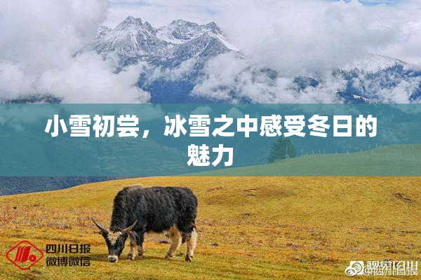 小雪初尝，冰雪之中感受冬日的魅力