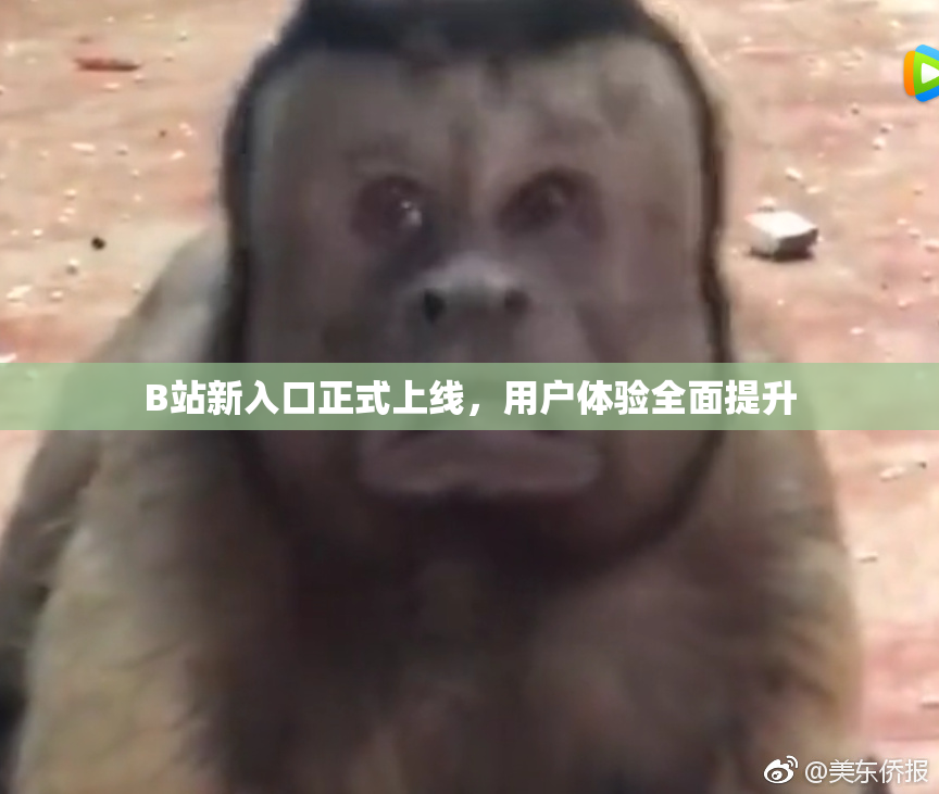 B站新入口正式上线，用户体验全面提升