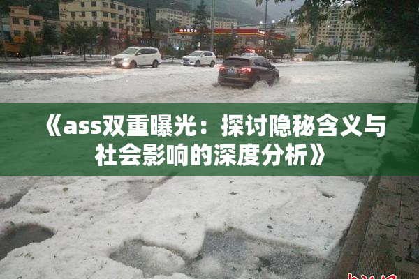 《ass双重曝光：探讨隐秘含义与社会影响的深度分析》