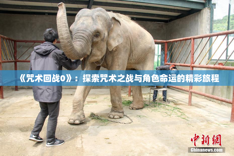 《咒术回战0》：探索咒术之战与角色命运的精彩旅程