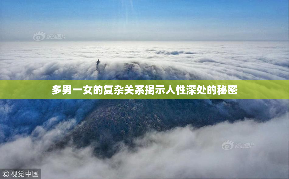 多男一女的复杂关系揭示人性深处的秘密