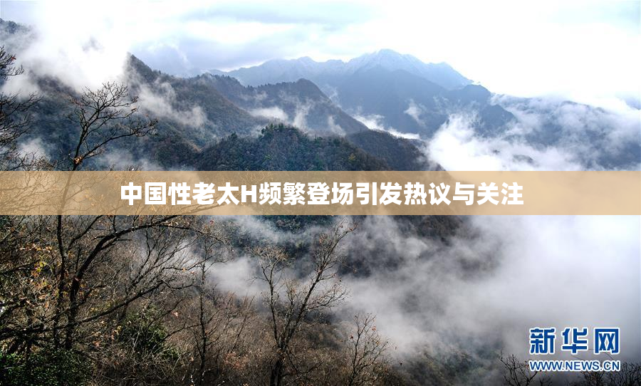 中国性老太H频繁登场引发热议与关注