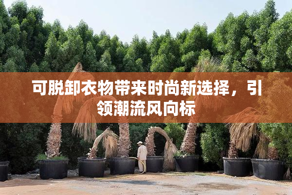 可脱卸衣物带来时尚新选择，引领潮流风向标