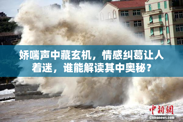 娇喘声中藏玄机，情感纠葛让人着迷，谁能解读其中奥秘？
