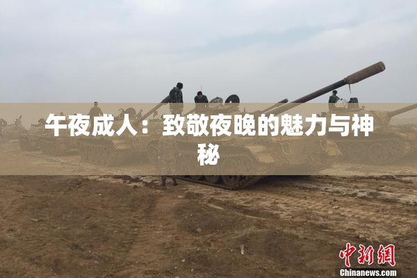 午夜成人：致敬夜晚的魅力与神秘
