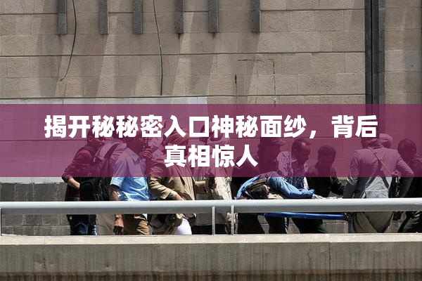揭开秘秘密入口神秘面纱，背后真相惊人
