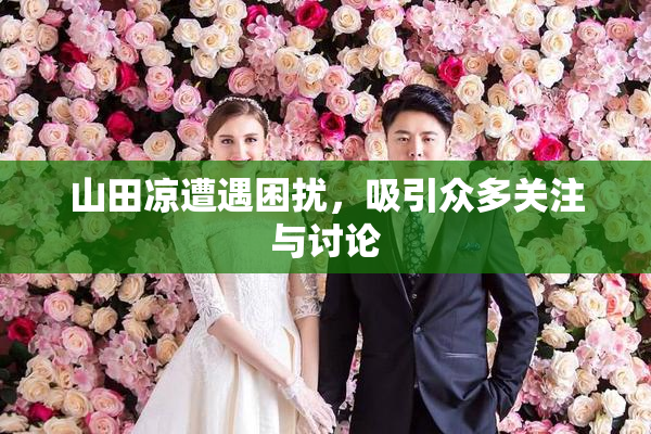 山田凉遭遇困扰，吸引众多关注与讨论
