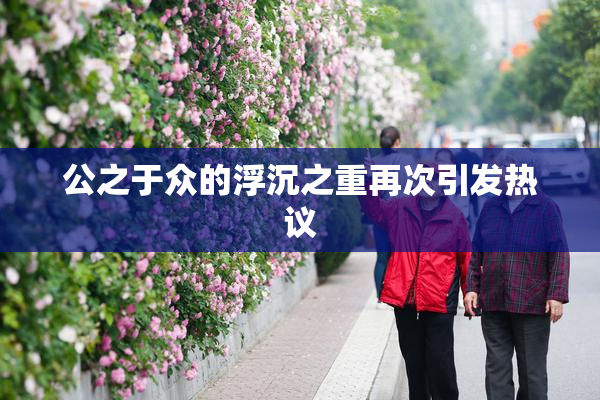 公之于众的浮沉之重再次引发热议