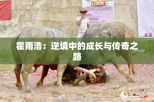 霍雨浩：逆境中的成长与传奇之路
