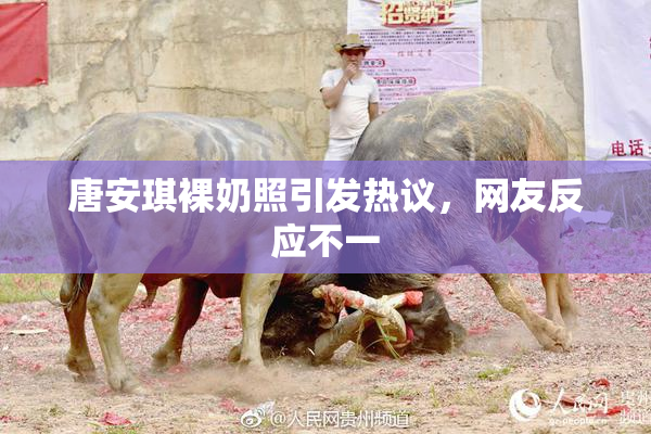 唐安琪裸奶照引发热议，网友反应不一