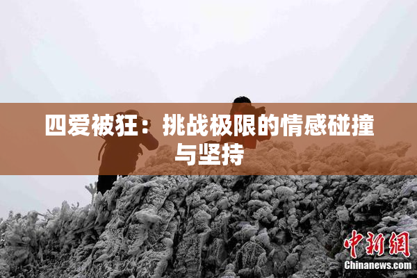 四爱被狂：挑战极限的情感碰撞与坚持