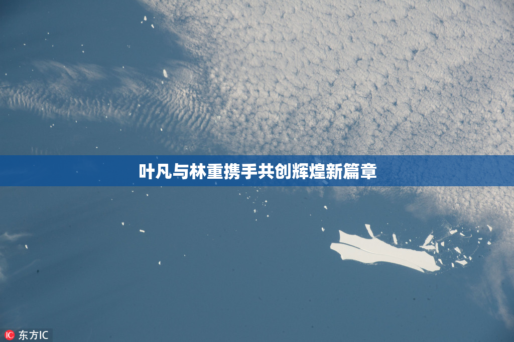 叶凡与林重携手共创辉煌新篇章