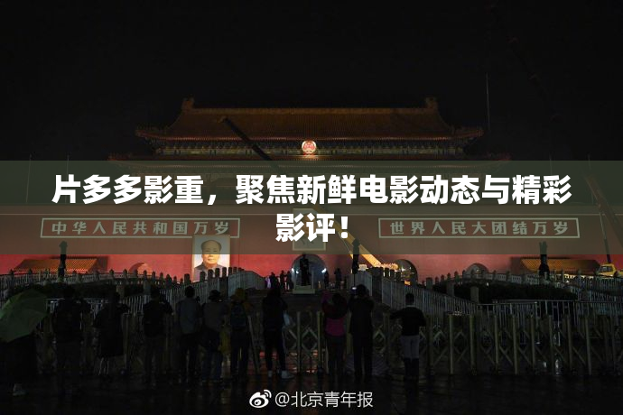 片多多影重，聚焦新鲜电影动态与精彩影评！