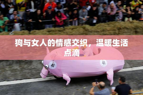 狗与女人的情感交织，温暖生活点滴