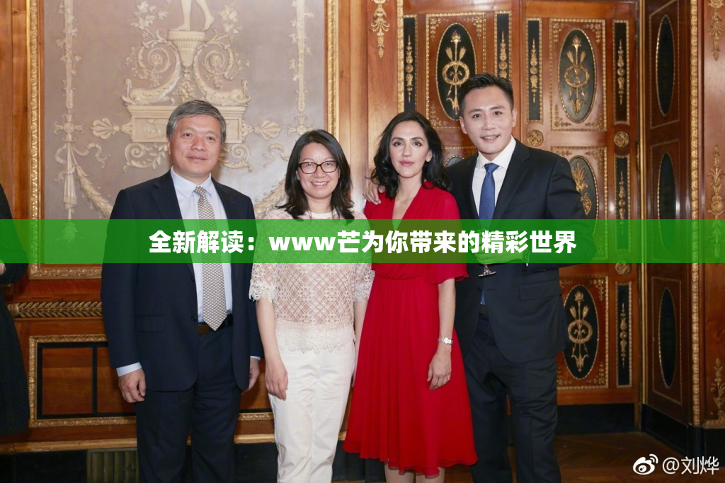 全新解读：www芒为你带来的精彩世界