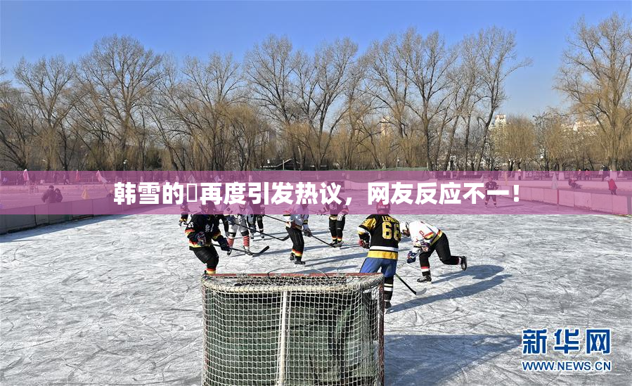 韩雪的婬再度引发热议，网友反应不一！