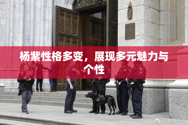 杨紫性格多变，展现多元魅力与个性